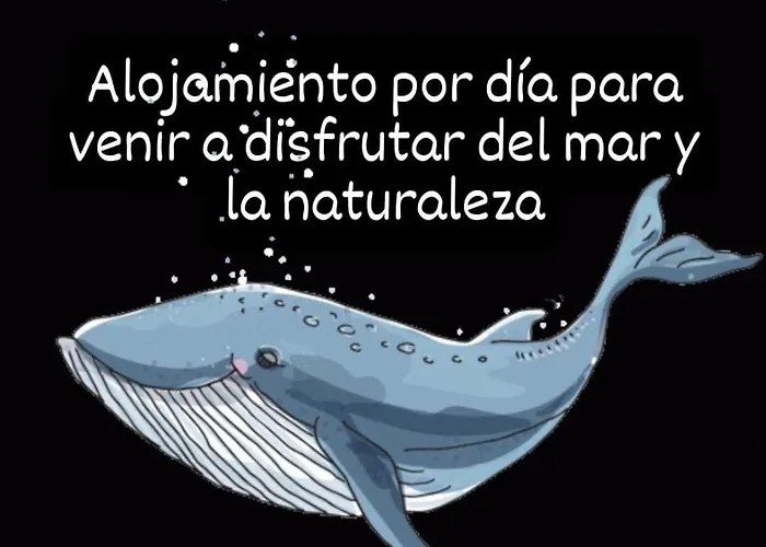 Ballenatos Madryn