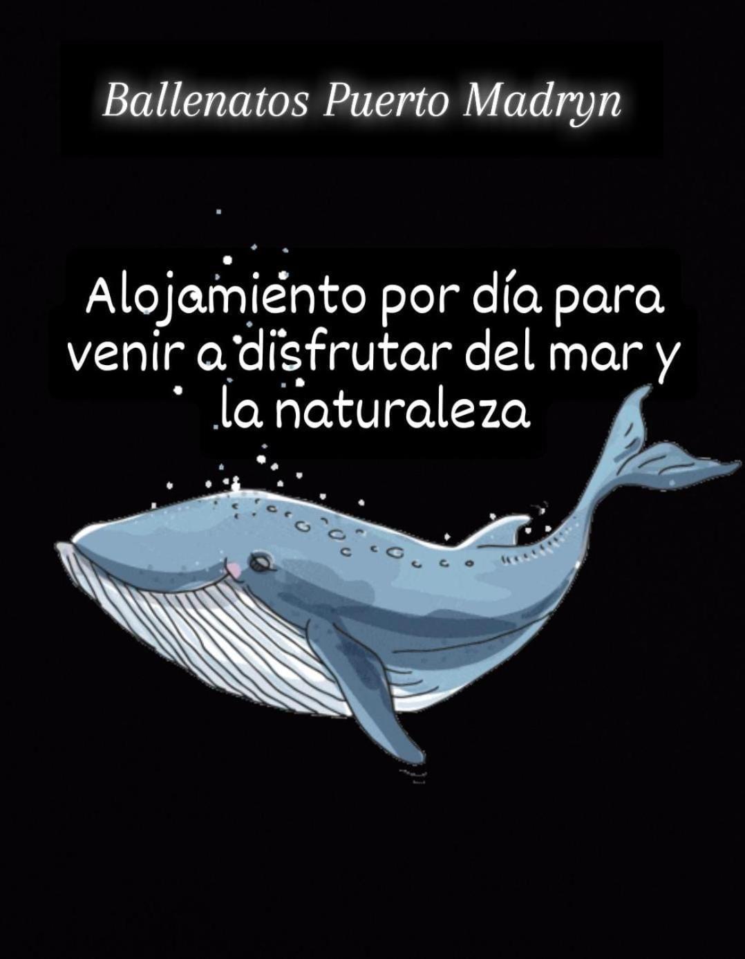 Apartment Ballenatos Madryn